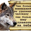  , -, 58  -  11  2017    