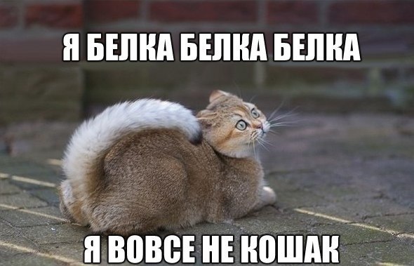  -  - 17  2016  16:31