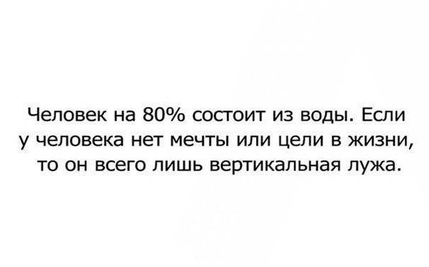 IQ Blog: , , ,  - 18  2016  11:05