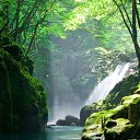 ���� ����, ������, 41 ��� - ��������� 27 ������ 2016 � ������ �����