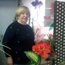 ���� ����, �����������, 81 ��� - ��������� 18 ������� 2017 � ������ ������ ��������