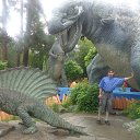 ���� ������, ���������, 37 ��� - ��������� 1 ������ 2017 � ������ ������������