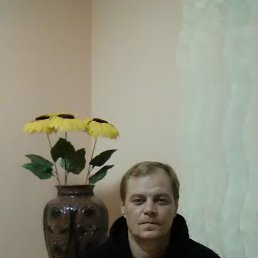 ���� ���������, ������-���, 51 ��� - ��������� 13 ������ 2017