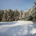  ,  -  13  2016     ... ,   !