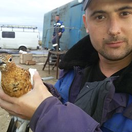 ���� �������, ����� �������, 41 ��� - ��������� 10 ������� 2017