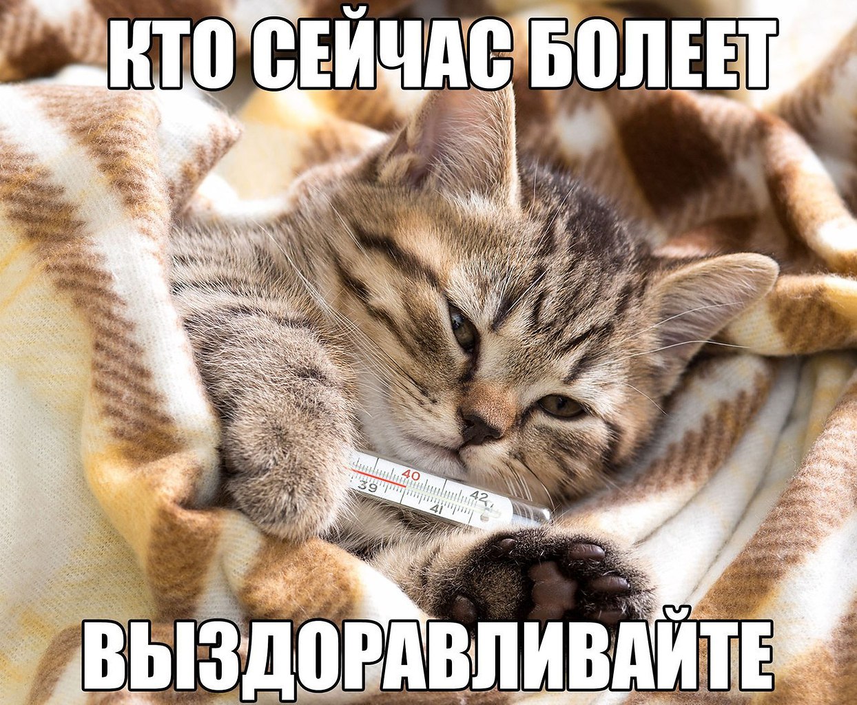  - 22  2016  01:07