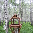 ���� ������, ���������, 45 ��� - ��������� 28 ���� 2017 � ������ ��������