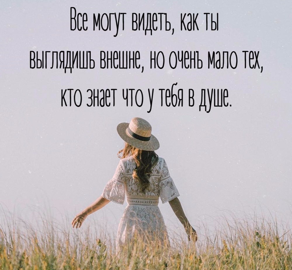  | ,  - 15  2017  22:15
