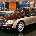 ���� ����������, �����-���������, 52 ���� - ��������� 1 ���� 2017 � ������ ���� ����������