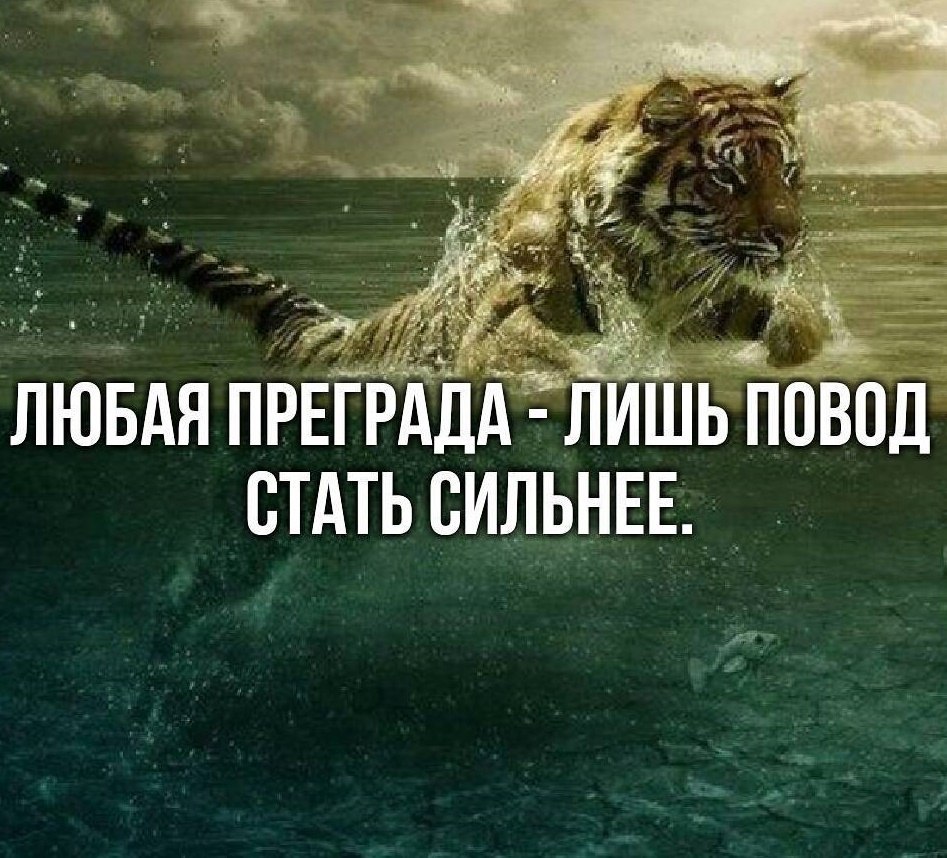  -   - 9  2017  23:10