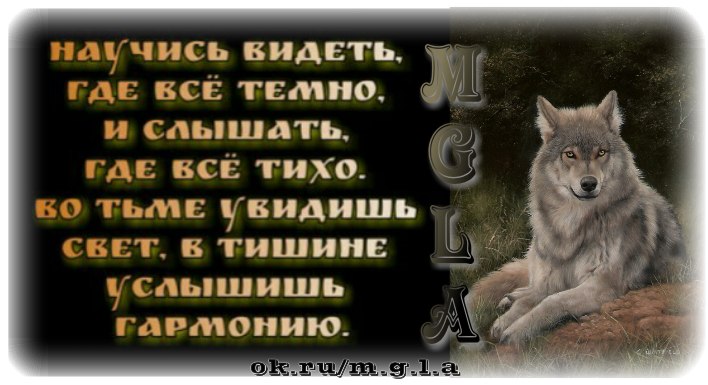    - 6  2017  09:58