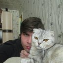  ˸, , 34  -  10  2017