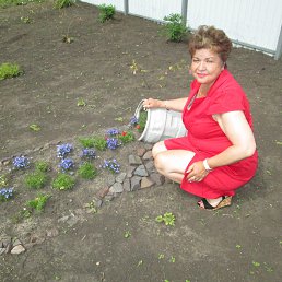 ���� �������, �����, 62 ���� - ��������� 15 �������� 2017