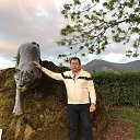  Roman, , 49  -  2  2017   