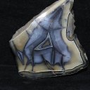 ���� ������, �����-��������� - ��������� 25 ������ 2017 � ������ �����������