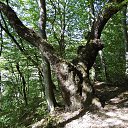 ���� �������, �����-���������, 58 ��� - ��������� 6 ������� 2017 � ������ ���� ����������