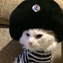 ���� �����, ���� - ��������� 22 ������ 2017 � ������ ���� ����������