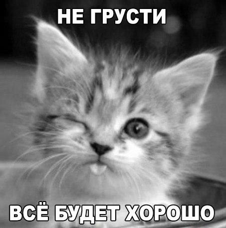  - 8  2017  20:40