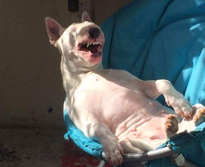 С окончанием рабочей недели, друзья! Впереди выходные