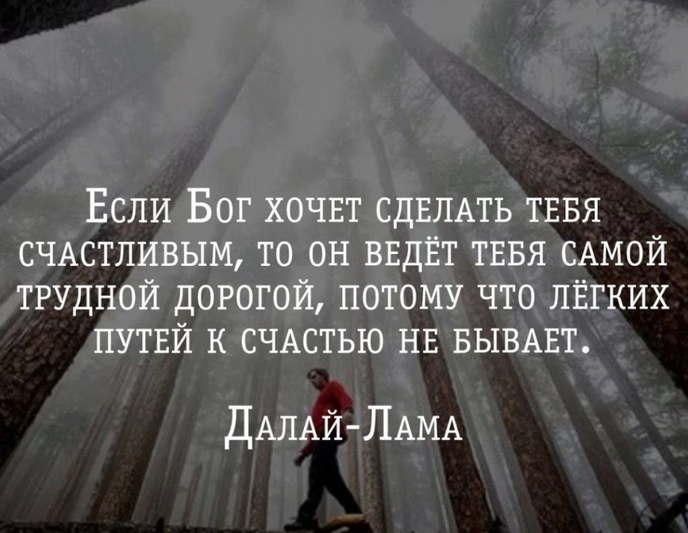  - 16  2017  13:51