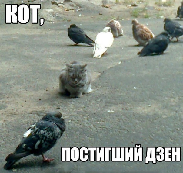    - 5  2017  20:11