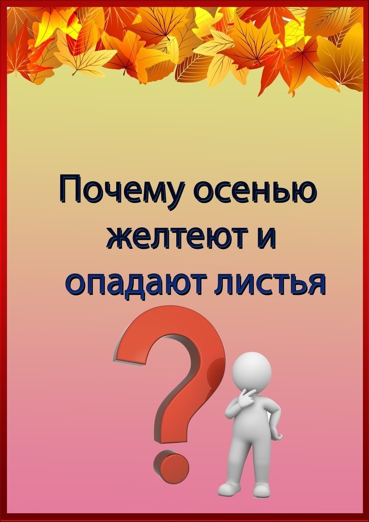 Почему листья желтеют осенью. Почему осенью листья желтеют и опадают. Почему листья желтеют осенью для детей. Почему желтеют листья осенью для дошкольников.