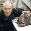 ���� ������, ��������, 54 ���� - ��������� 20 ������� 2017 � ������ ���� ����������