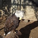 ���� ������, ������ - ��������� 13 �������� 2017 � ������ ����������� ������ʻ