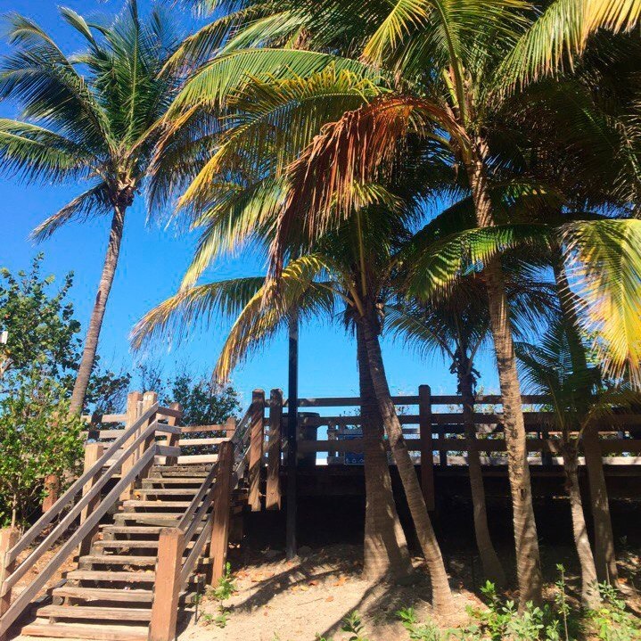 Зарабатывай деньги. Путешествуй. Получай море впечатлений.