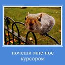 ���� ������, ������������, 45 ��� - ��������� 20 ������ 2017 � ������ ��������������