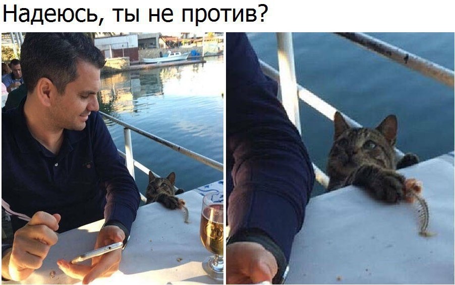     - 1  2017  14:03