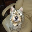 ���� ������, ������, 55 ��� - ��������� 9 ������� 2017 � ������ ���� ����������