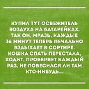 ���� ������., ���������, 50 ��� - ��������� 8 �������� 2017 � ������ ������ ��������