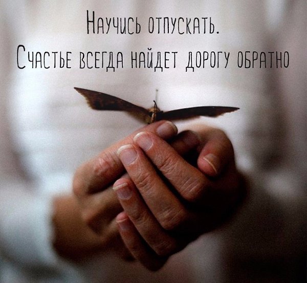   -  ,  -  - 8  2017  21:38