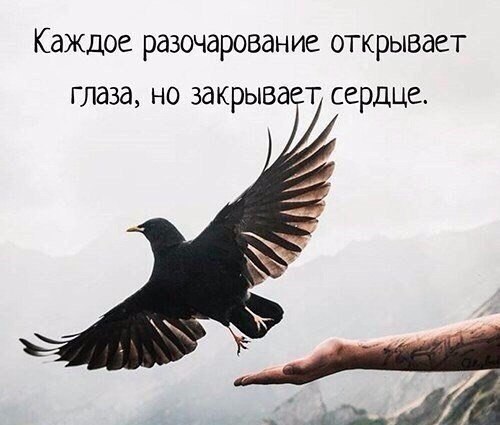  - 11  2017  06:37