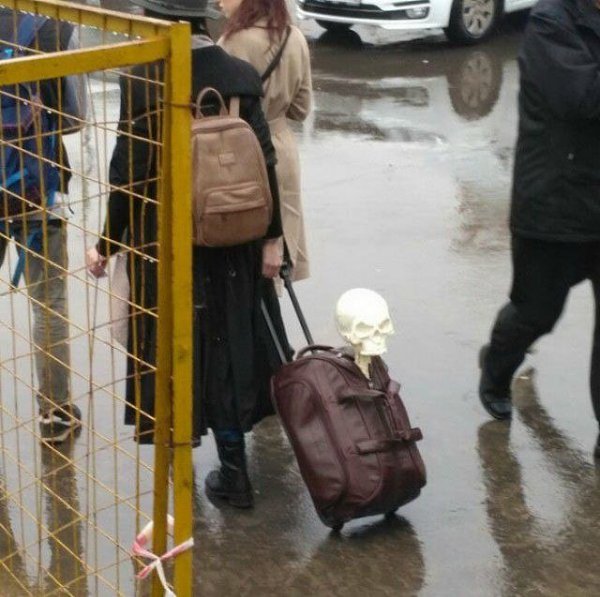 Самое сложное в подготовке к поездке — это упаковать свои вещи! Герои этого поста всё-таки осилили и ... - 12