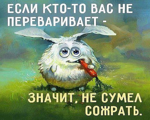 ☆ ☆ - 18  2017  23:07