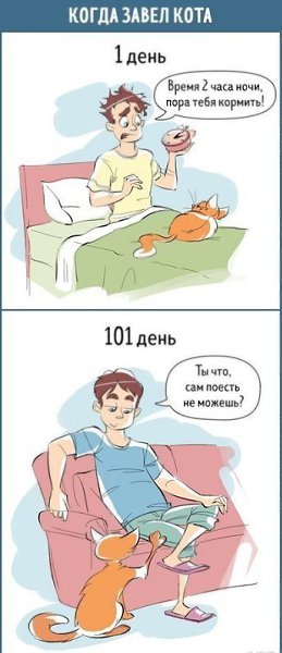 Как меняется наше отношение к любым вещам за каких-то 100 дней. #интересное@rules4life - 4