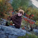 ���� �����, ��������� - ��������� 26 �������� 2017 � ������ ���� ����������