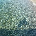  , -, 42  -  8  2017   , 2017 ()