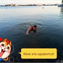���� ��������, ��������, 52 ���� - ��������� 22 ���� 2017 � ������ ���� ����������