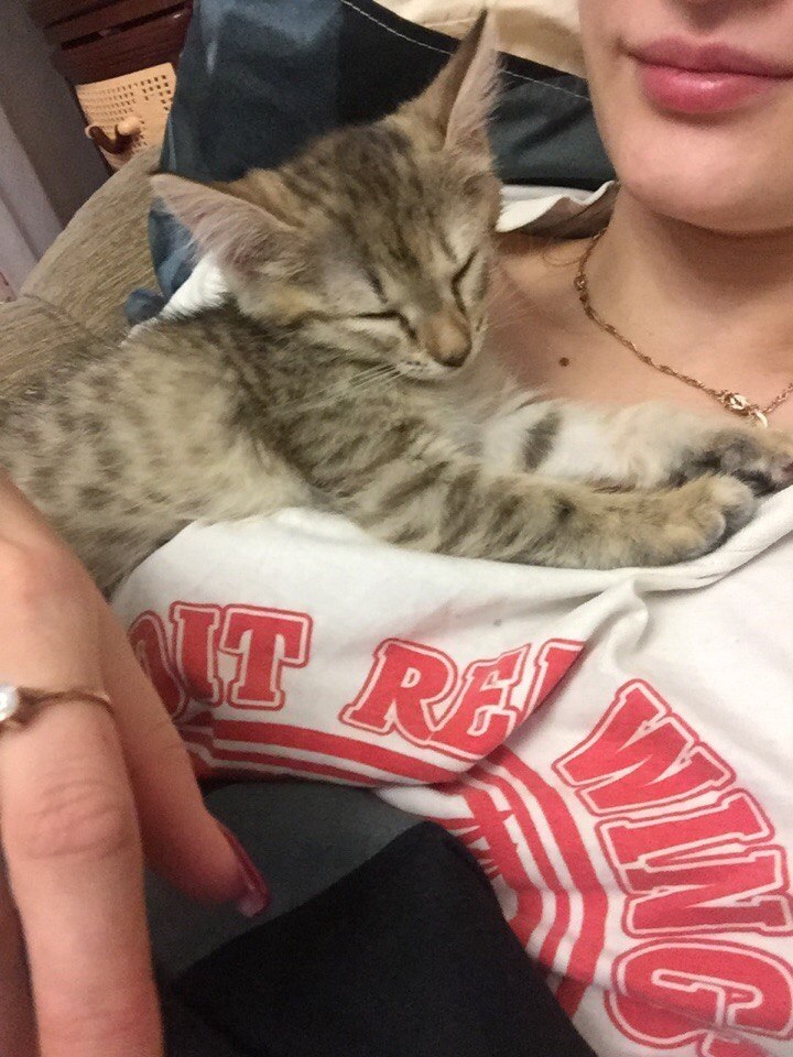 #_.          ,    ... - 3