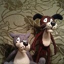 ���� �������, ������ �������� - ��������� 9 ������ 2017 � ������ ���� ����������