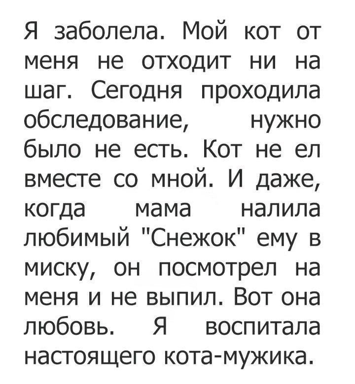   -  ,  -  - 27  2017  11:14