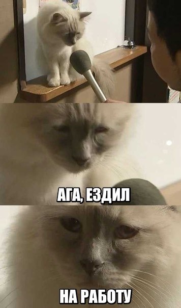 -    ? ,  -?