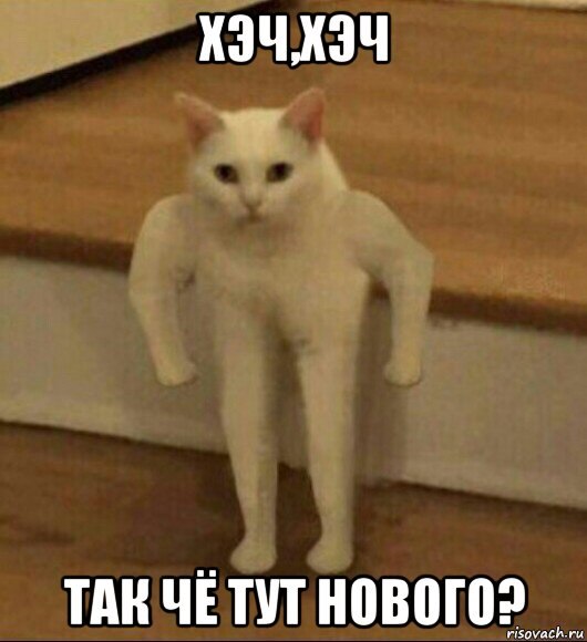  - 1  2017  17:43