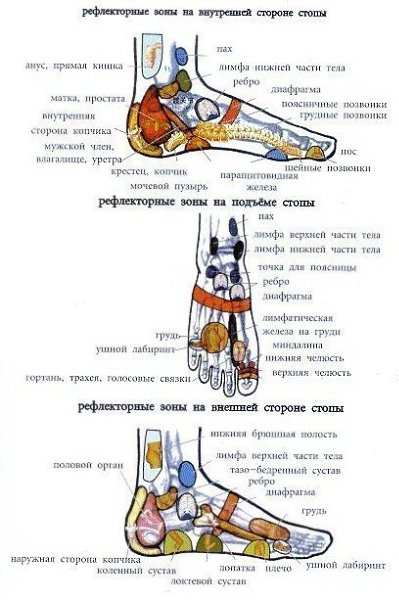 Китайский массаж стоп «Цзинло» от ста болезней. Традиционная китайская медицина утверждает, что на ... - 3