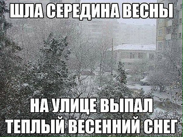  - 20  2017  08:40