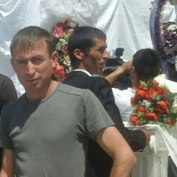 �����, ������, 41 ���