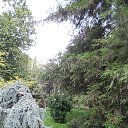  , , 60  -  6  2017   , ,06.09.17. ,...